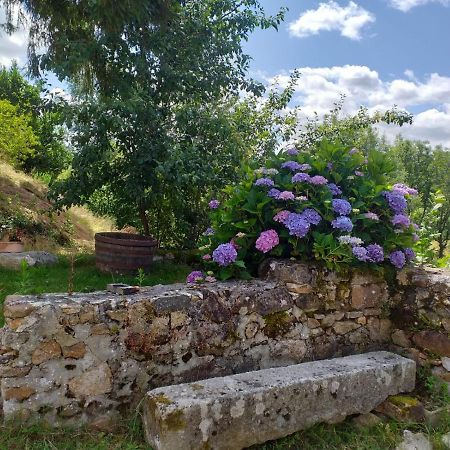 Gite Moulin De Ludieras Busserolles Kültér fotó
