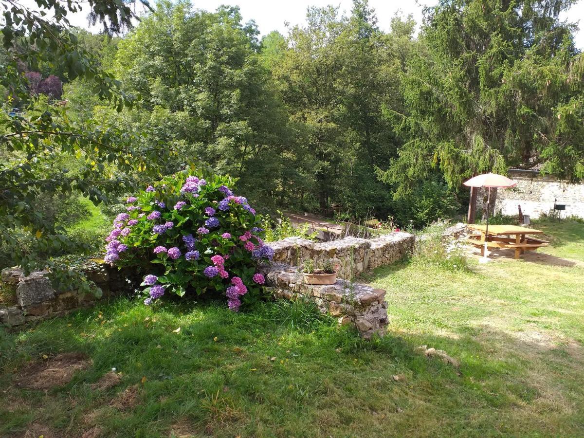 Gite Moulin De Ludieras Busserolles Kültér fotó