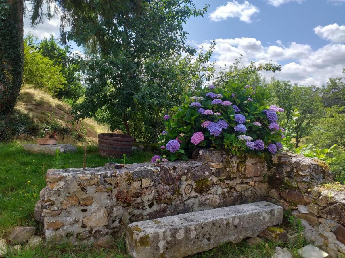 Gite Moulin De Ludieras Busserolles Kültér fotó